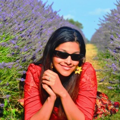 lavender fields Surrey